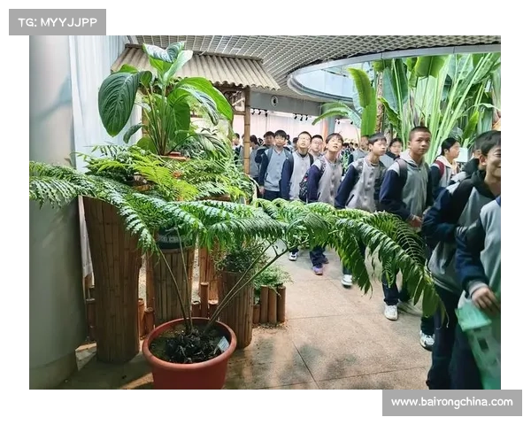在永歌森林中漫步 探索大自然的无限魅力与奇妙之处 在永歌森林中漫步 探索大自然的无限魅力与奇妙之处