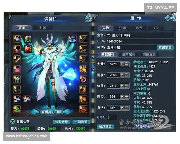 武魂玄冰全方位加点技巧详解助你提升战力全面制霸 武魂玄冰全方位加点技巧详解助你提升战力全面制霸