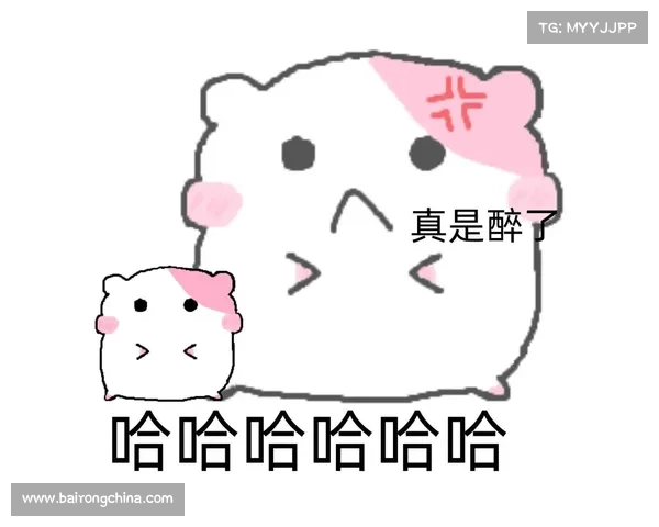 如何巧妙运用11-11表情包表达不同情感和情绪的多样方式